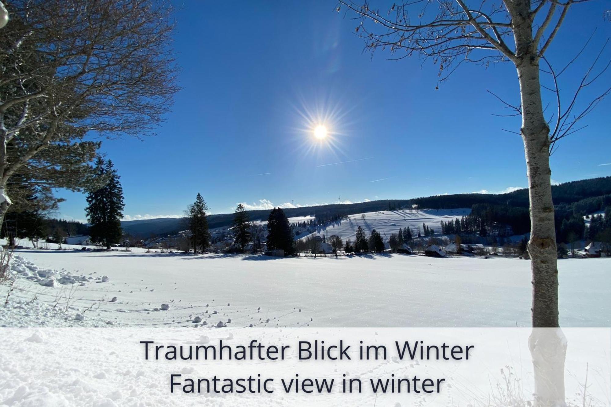 Auszeit Apartment Black Forest Schonach im Schwarzwald Exterior foto